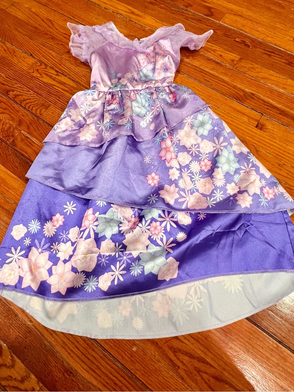 Disney Isabella Purple Floral  Dress